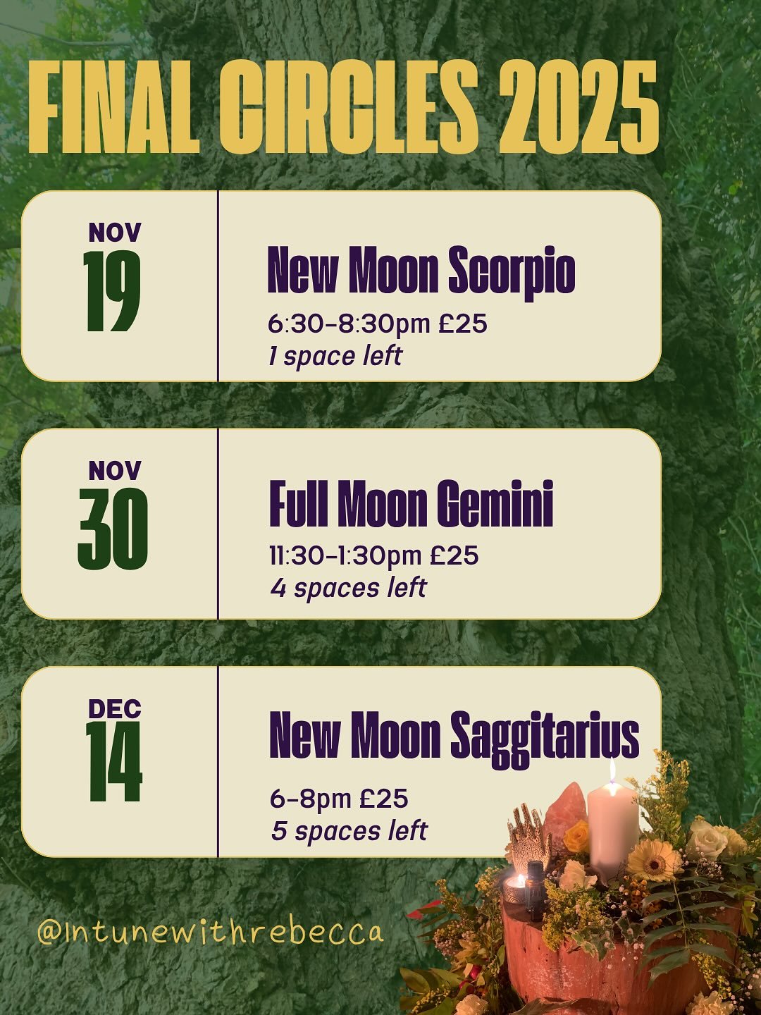 FINAL CALL FOR 2025. 

2026 is going to be a huge year, but let&rsquo;s make sure we are stepping into all that comes with our most regulated selves. Anchored deeply into who we truely are, acting from the heart, in alignment to your most authentic d