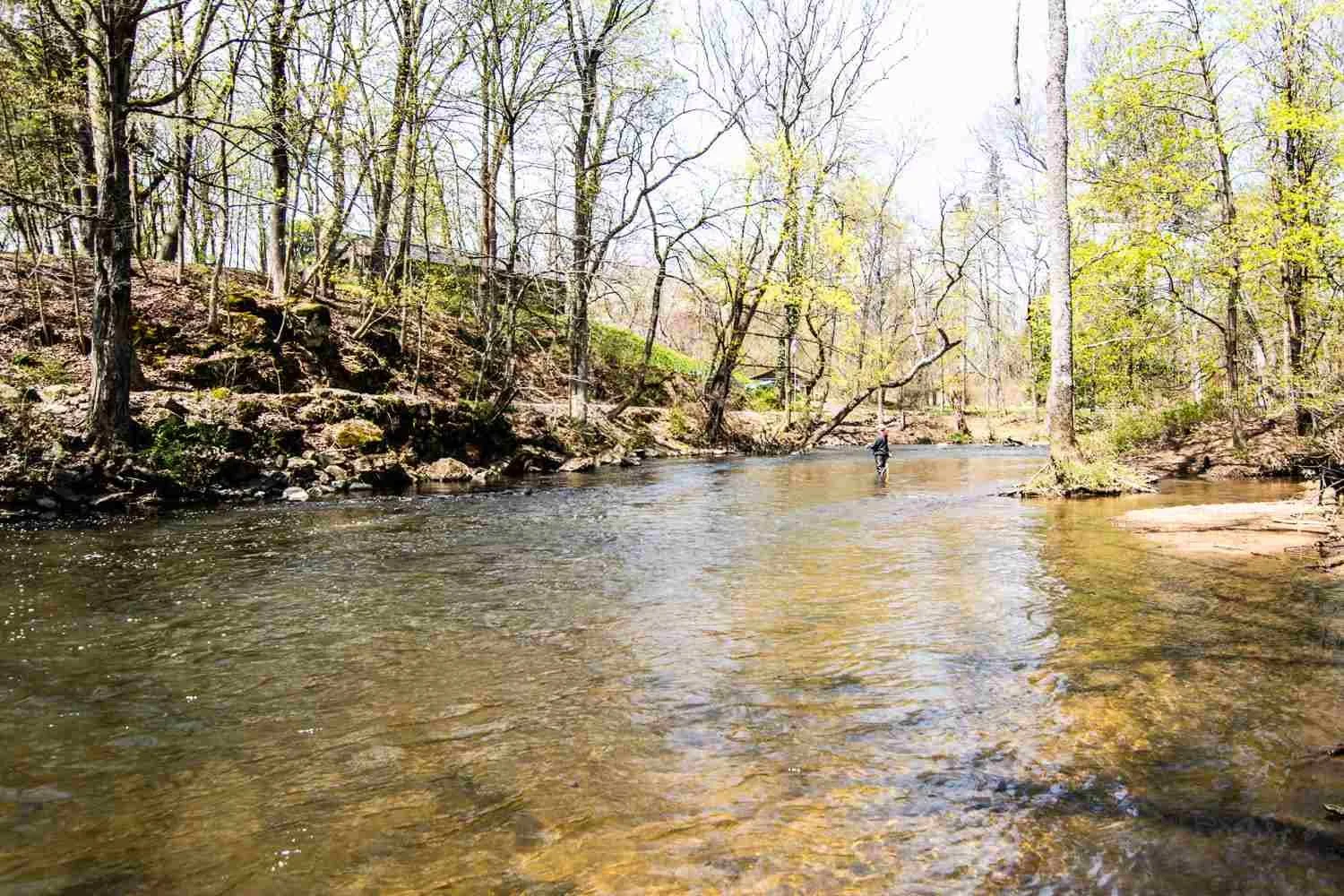 South Branch at Califon.