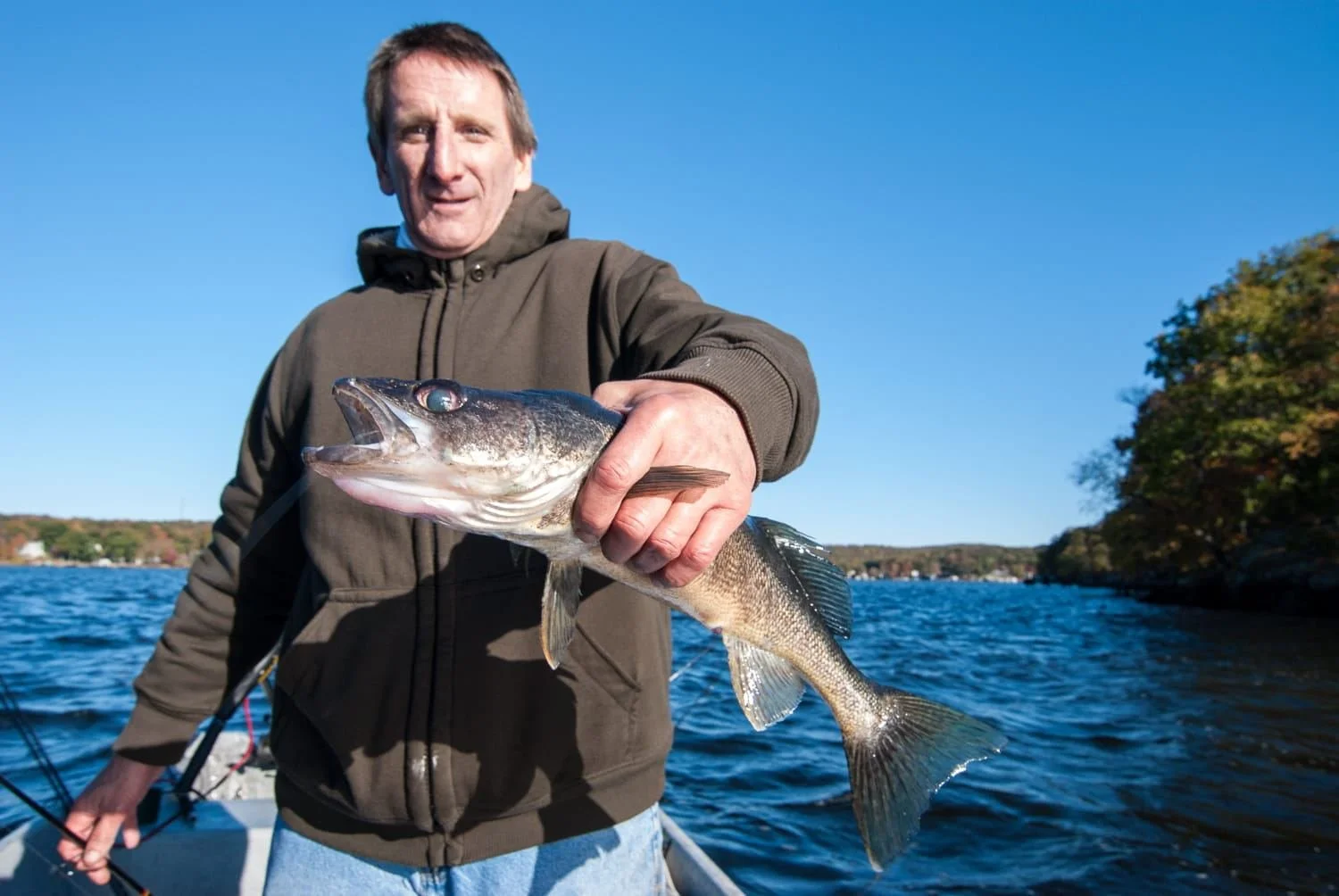 Walleye cloudless conditions.
