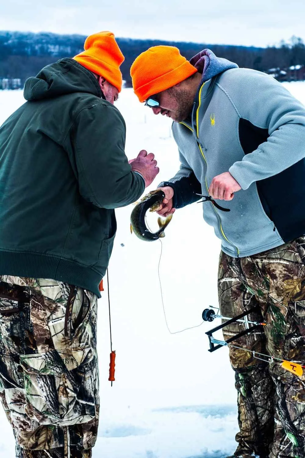Removing the hook quickly, as action was fast.