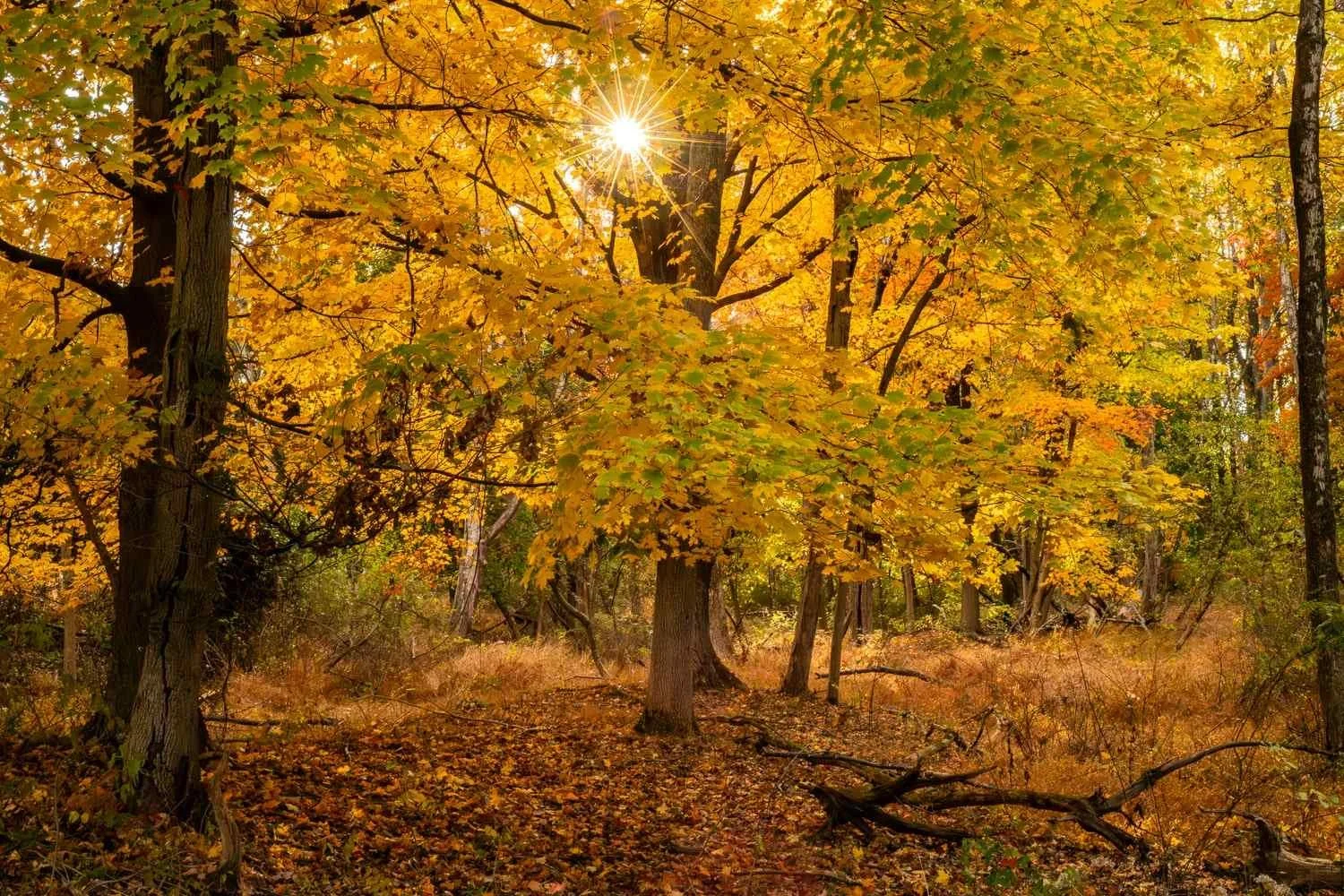 The Elusiveness of the Truth Can Mean We Assume the Truth