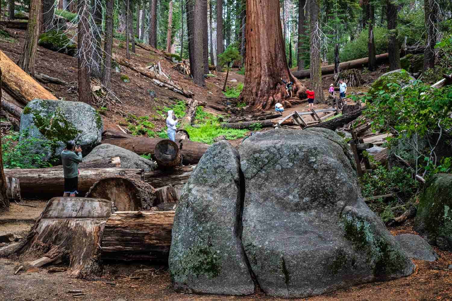 Knowledge and Relationships