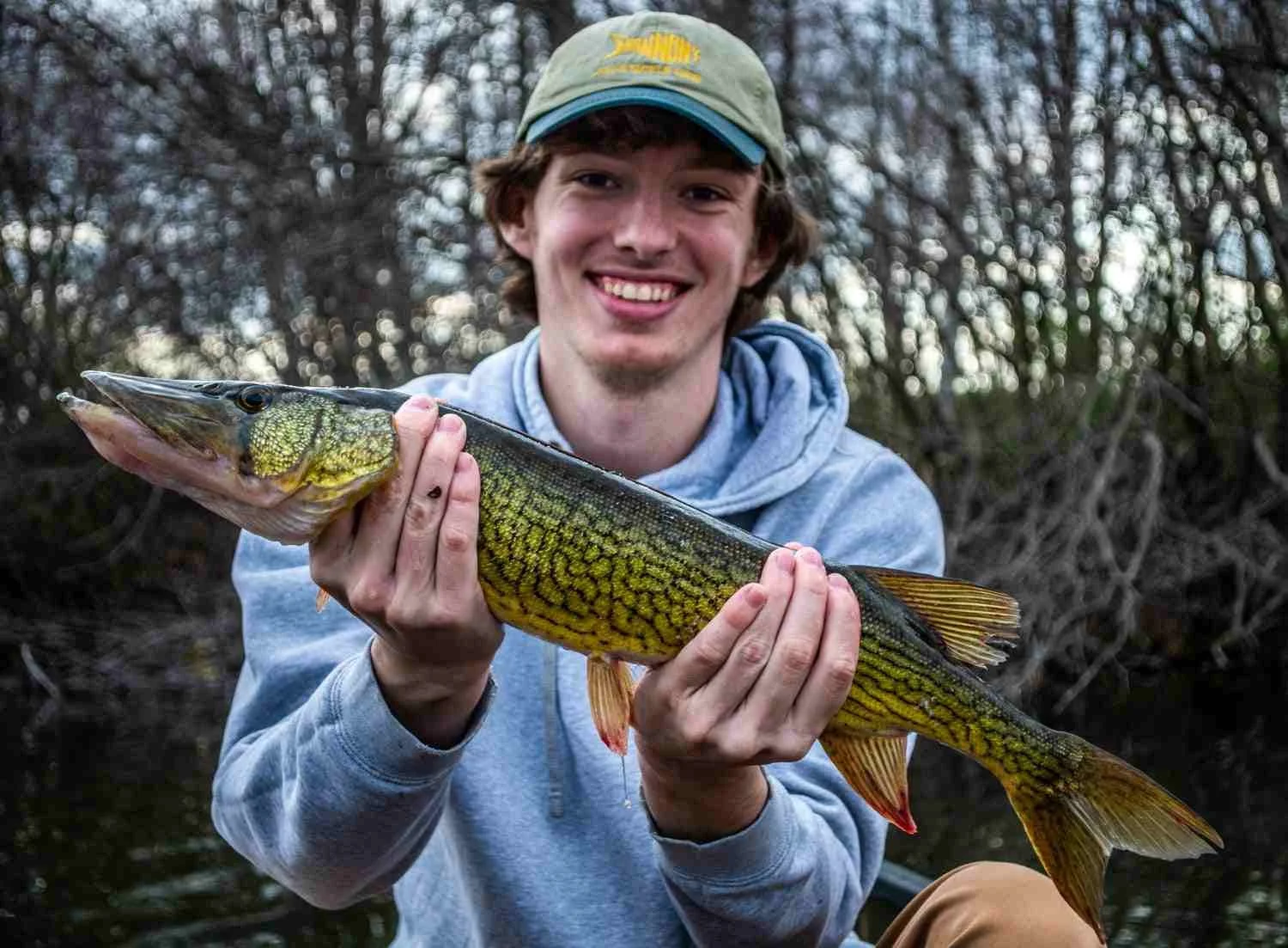 Live-Lining Pickerel