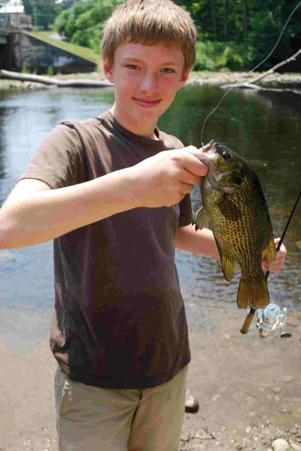 Why Rock Bass Count