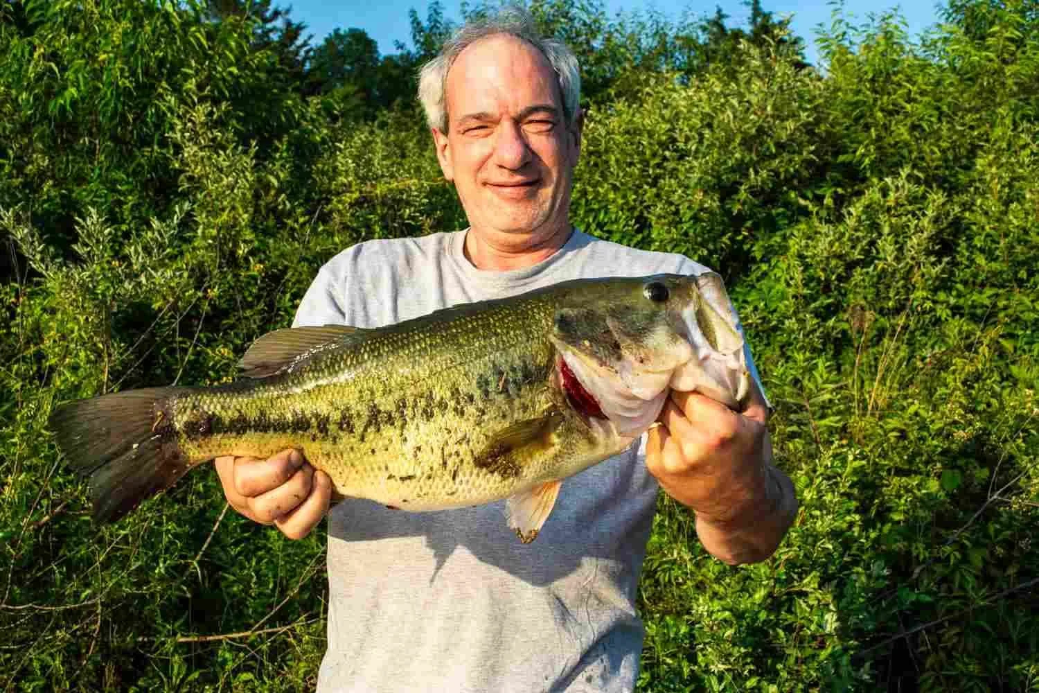 Using Unweighted Plastic Worms for Bass