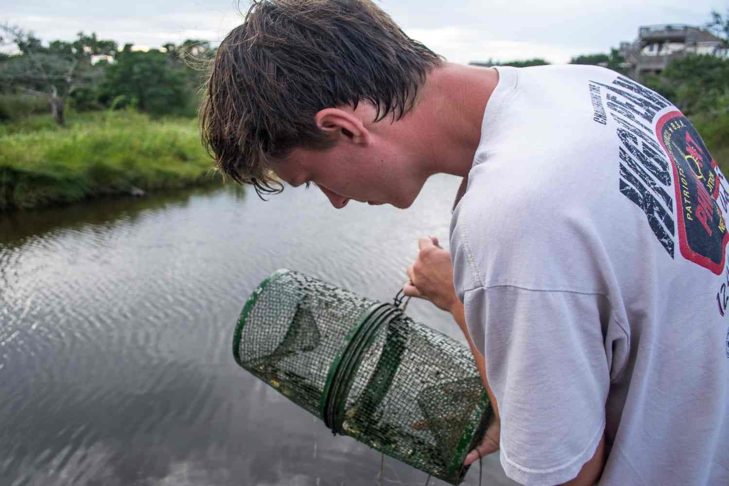 Netting and Potting Bait