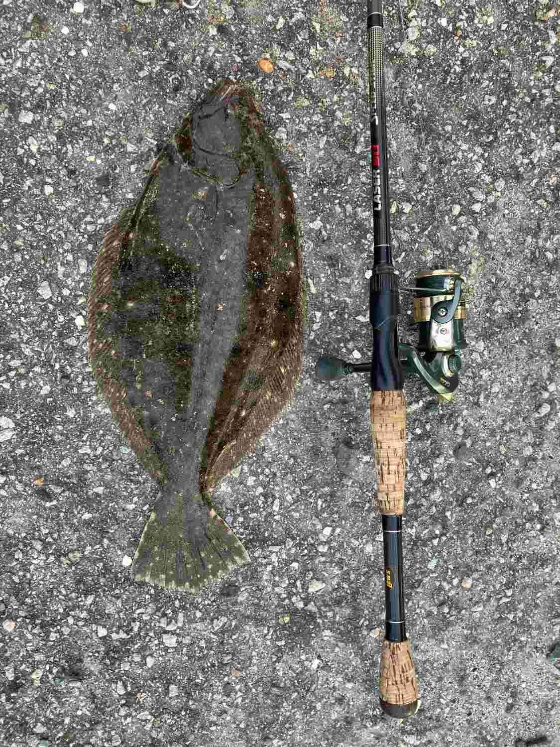 Sandy Hook Fishing