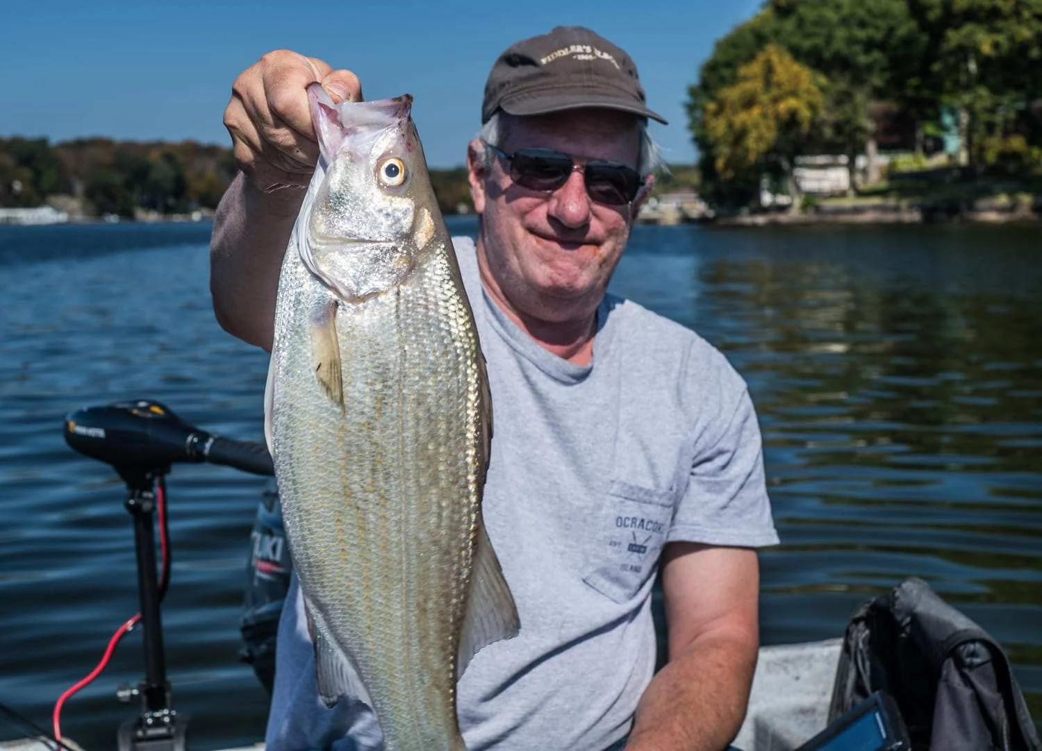 Actually got the photo after the hybrid striped bass died.