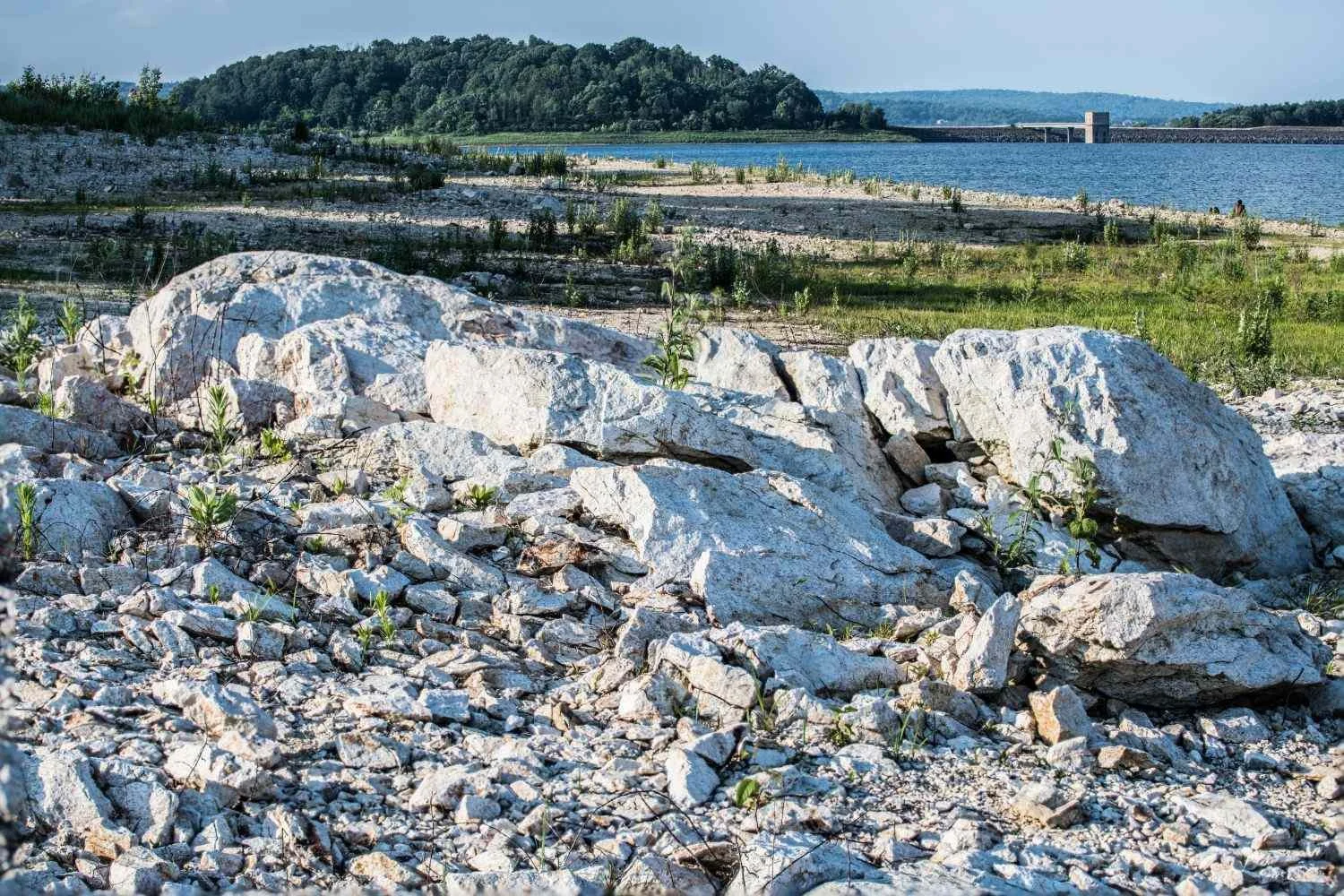 Low-light, late in the day, but without the golden quality of a little later.