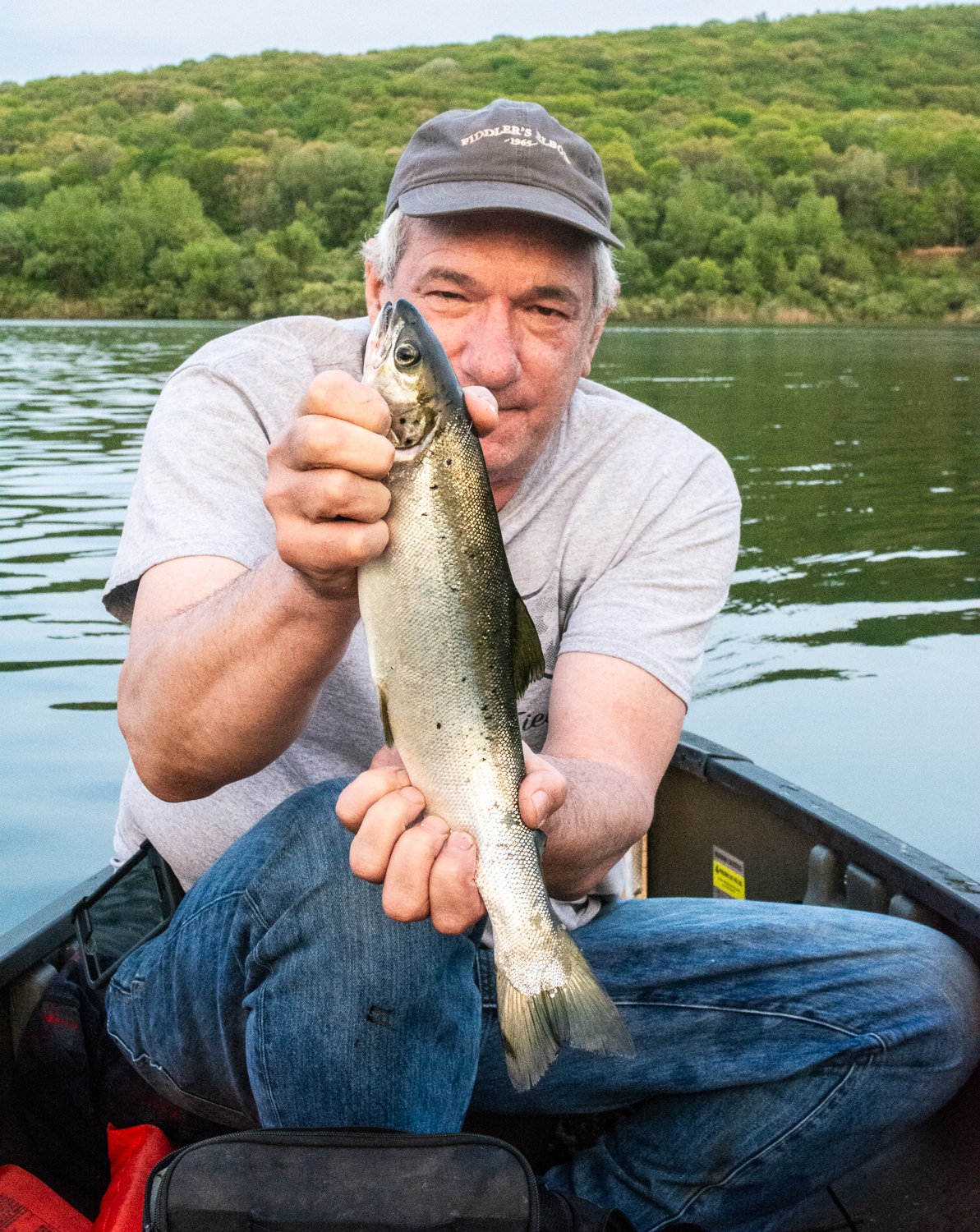 An average salmon.