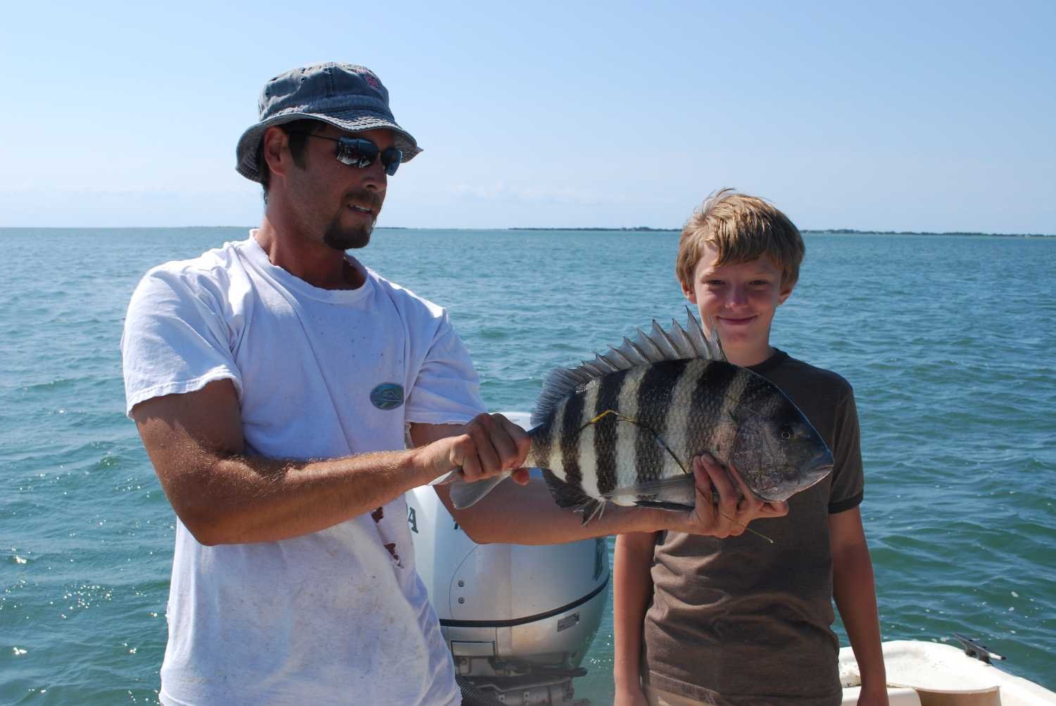 A sheepshead.
