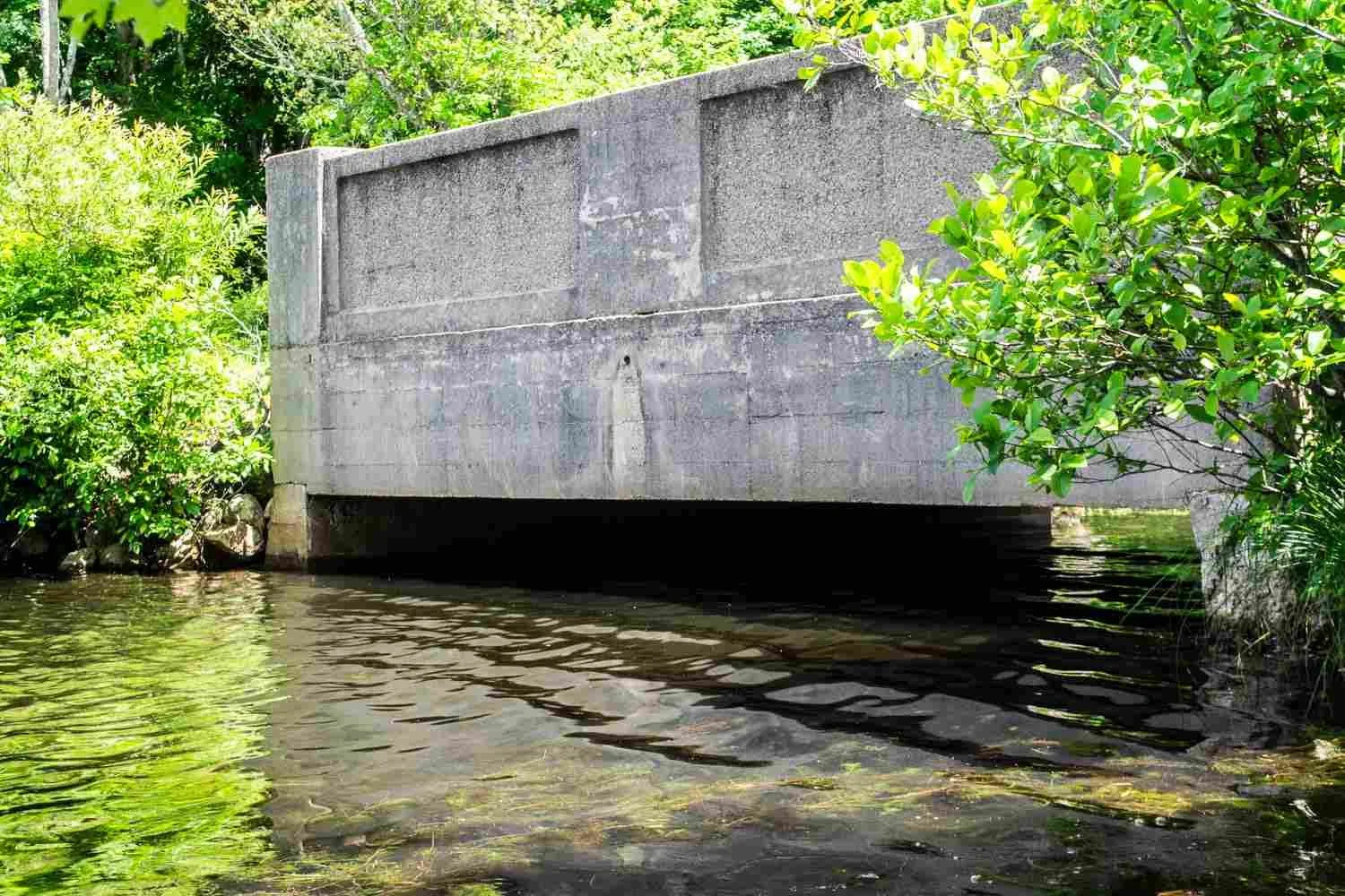 A bridge.