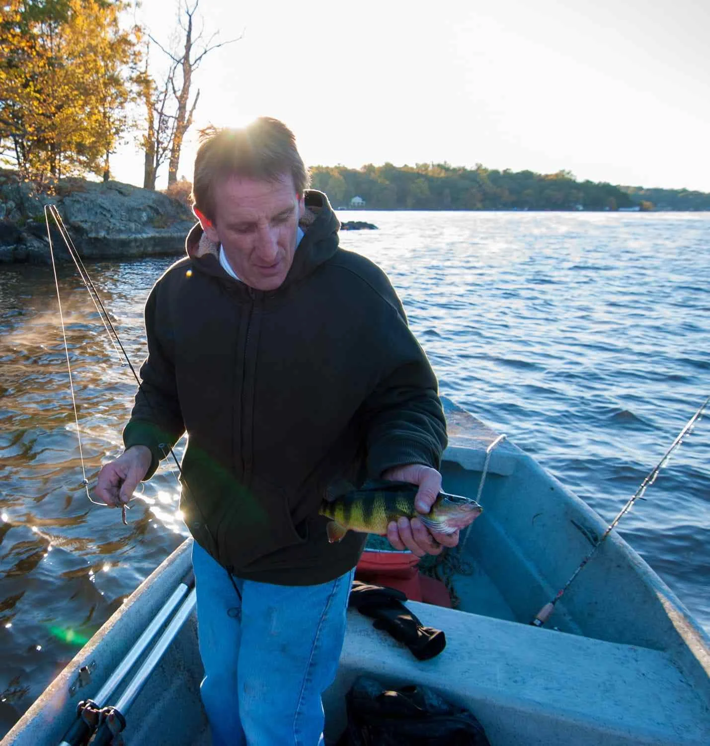 A big yellow perch.