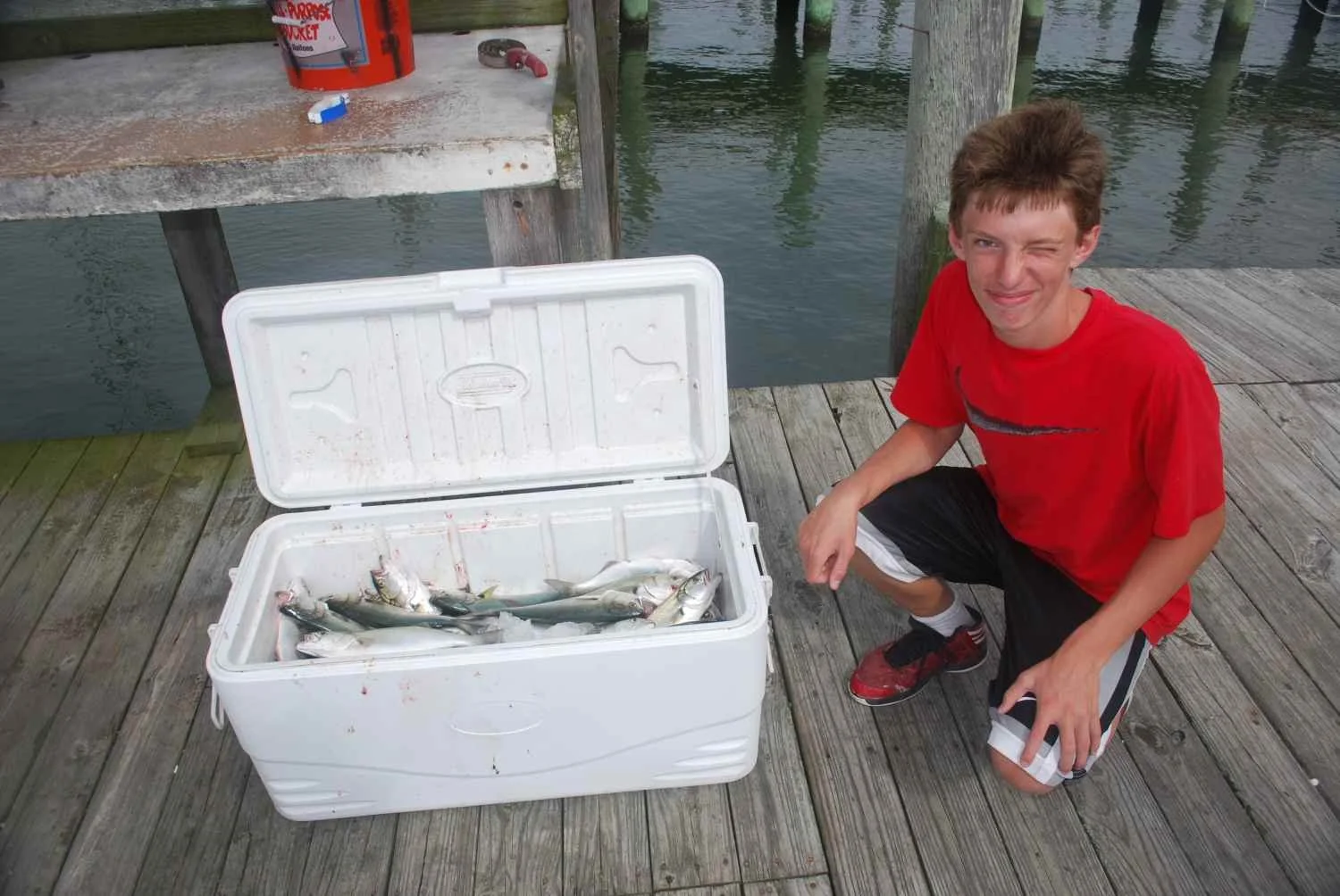 A box of fish.