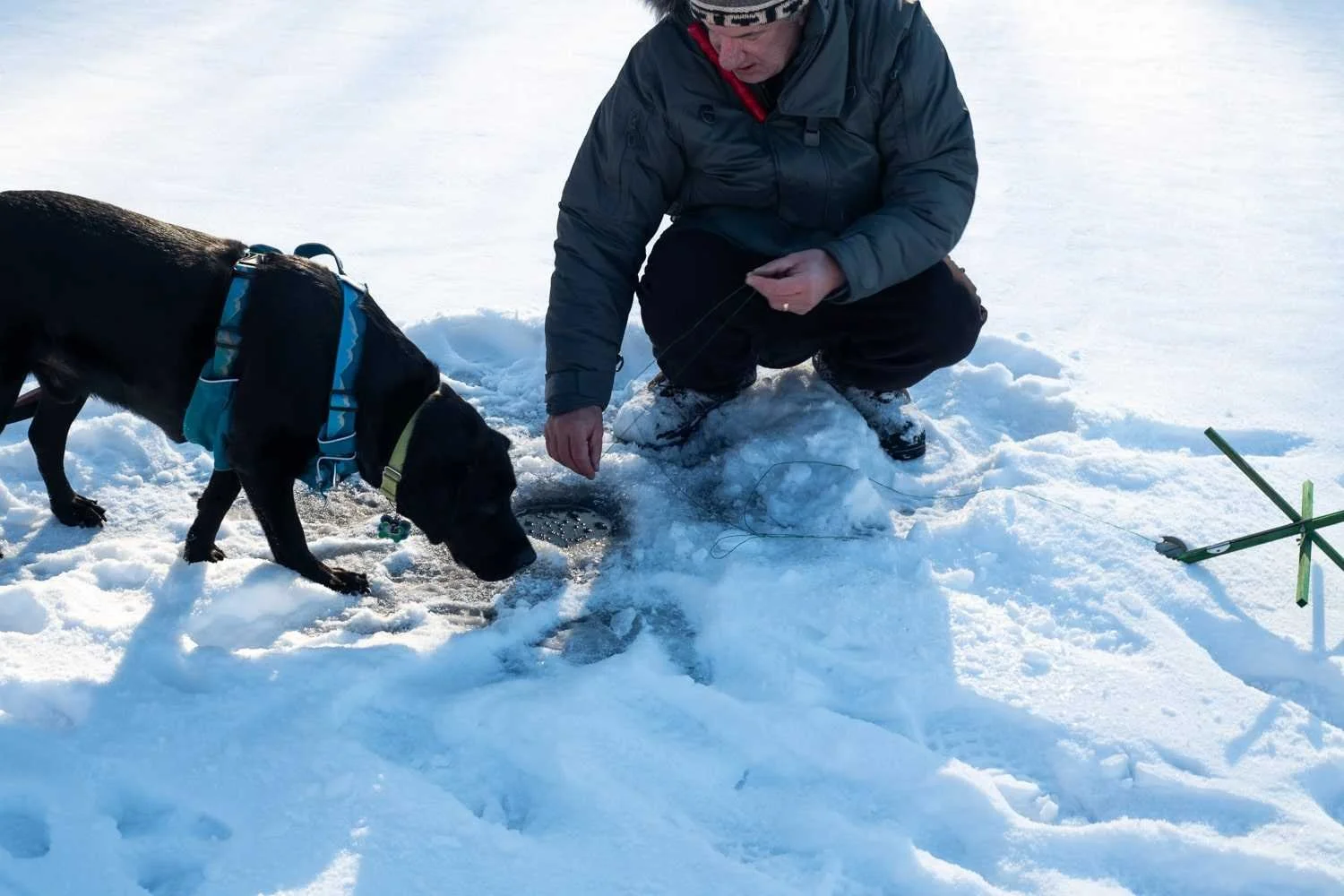 Dogs are allowed on many public lakes.