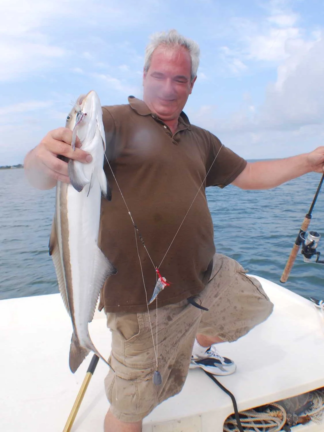 A cobia.