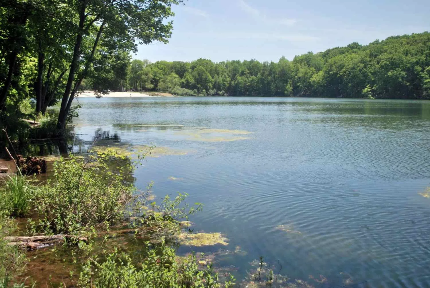 Mount Hope Pond is 18 acres.