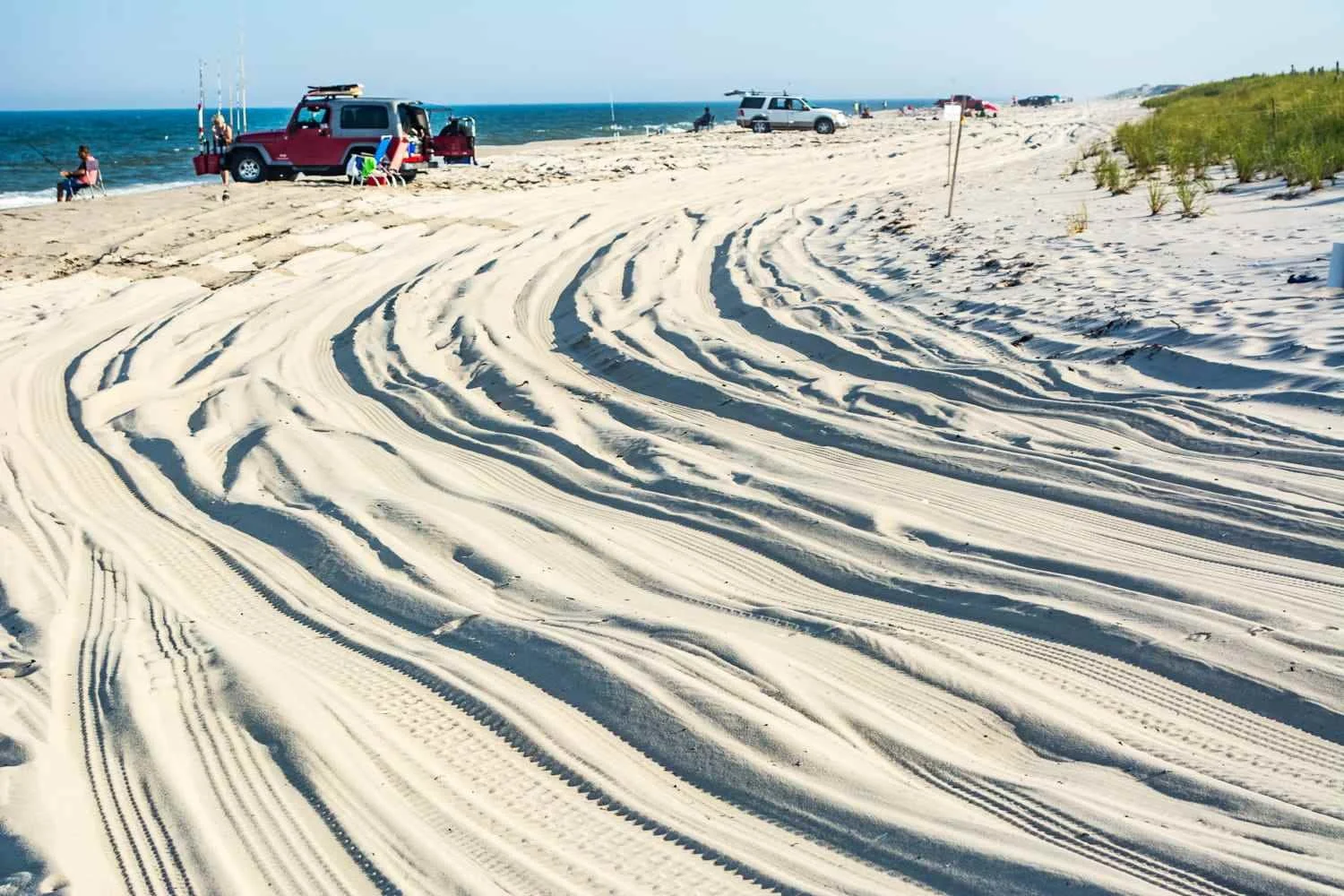 Island Beach State Park.