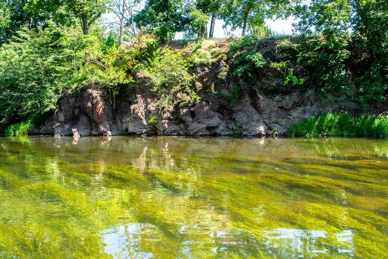 Shale or other sedimentary stone.