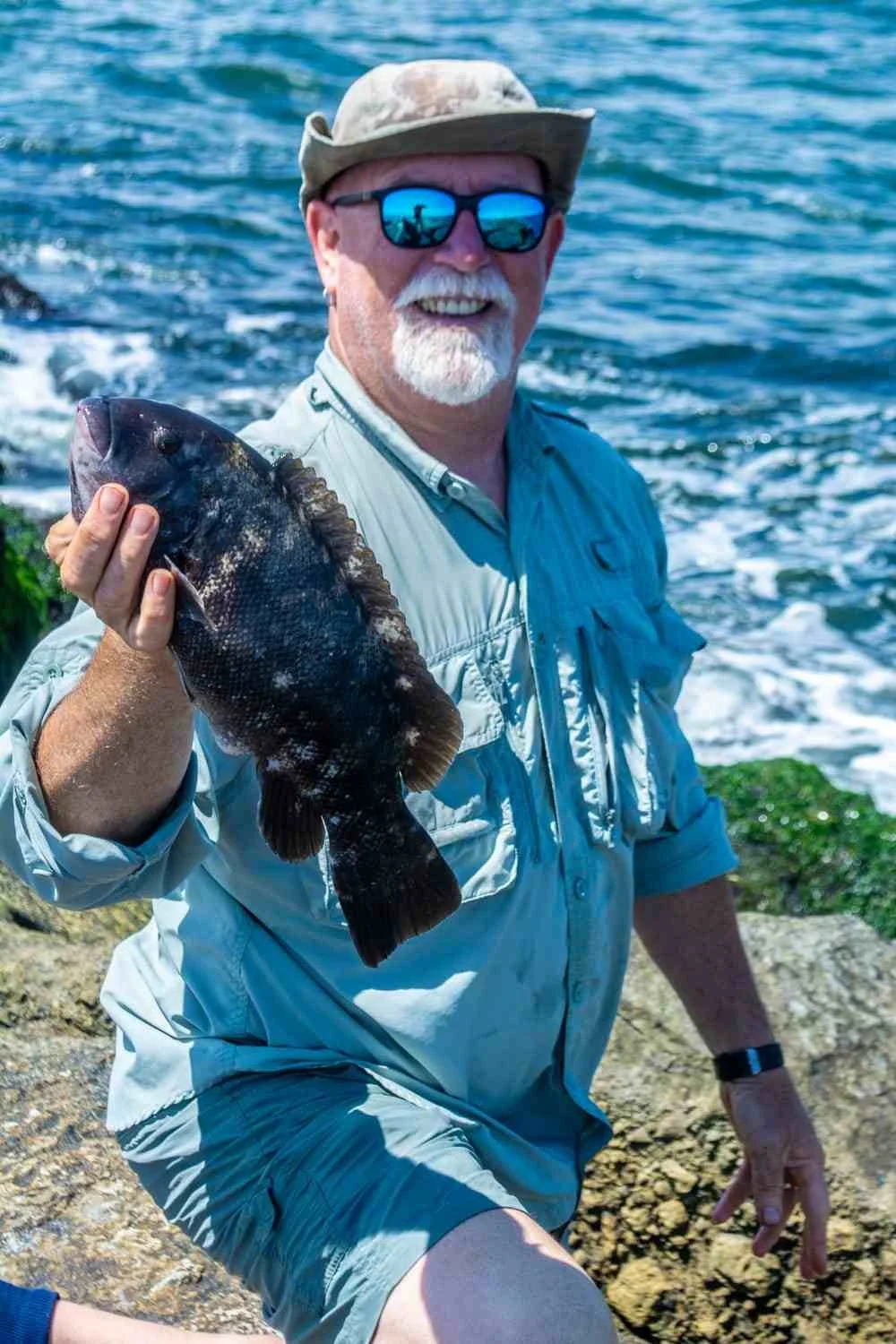 A blackfish.