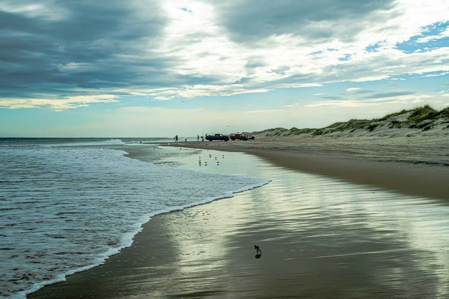 Trucks on the beach.