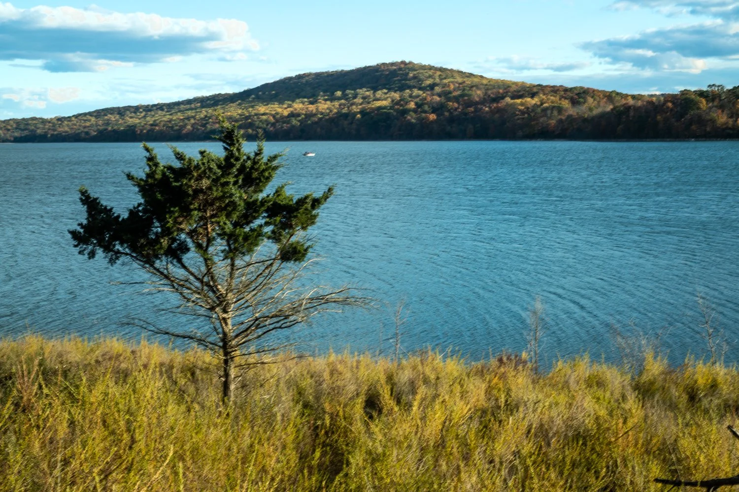 A slightly curvaceous line from the evergreen, to the boat, and to the mountain summit, single points.