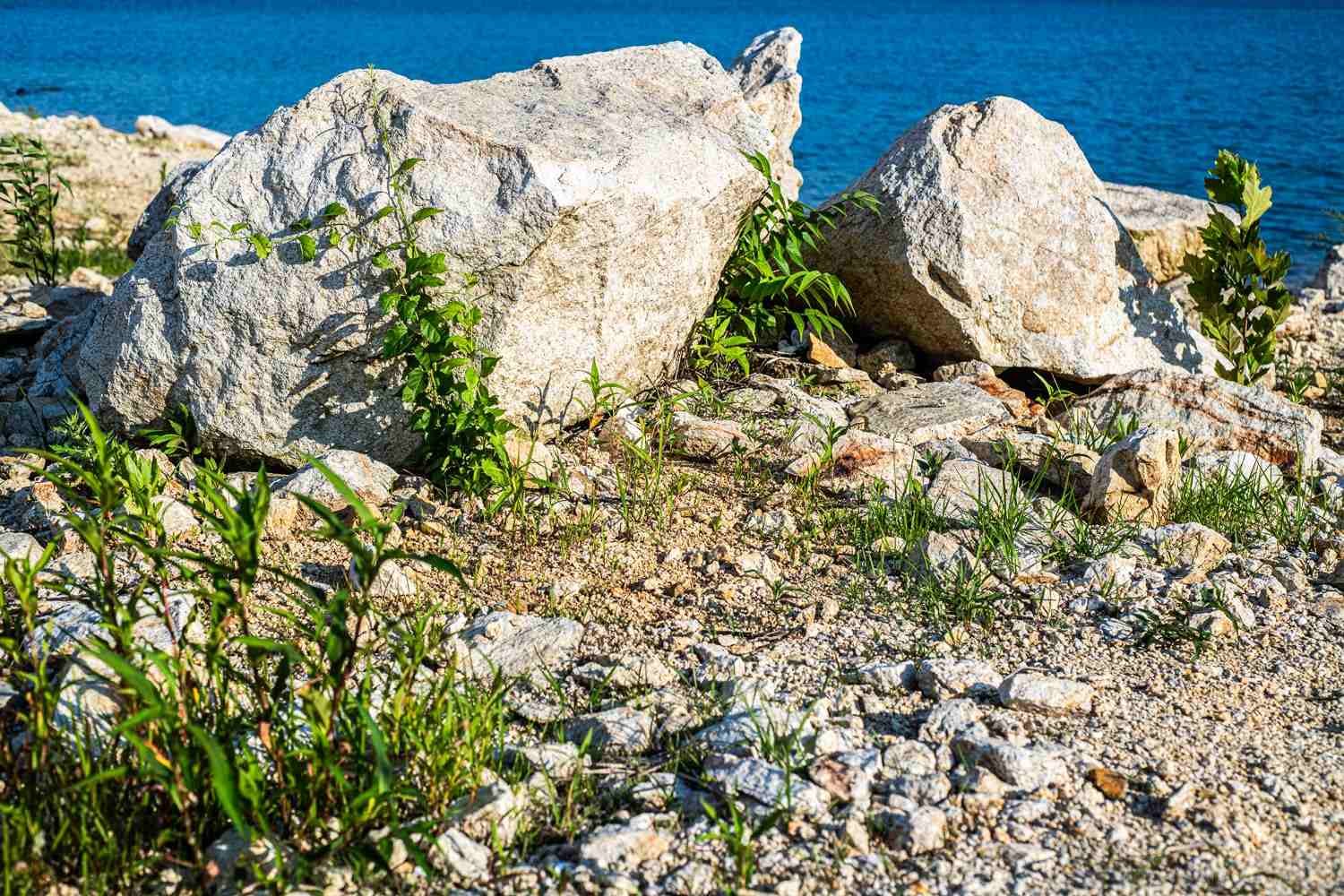 Even with few strands of vegetation to move in the breeze, you may need to bump up the shutter speed.