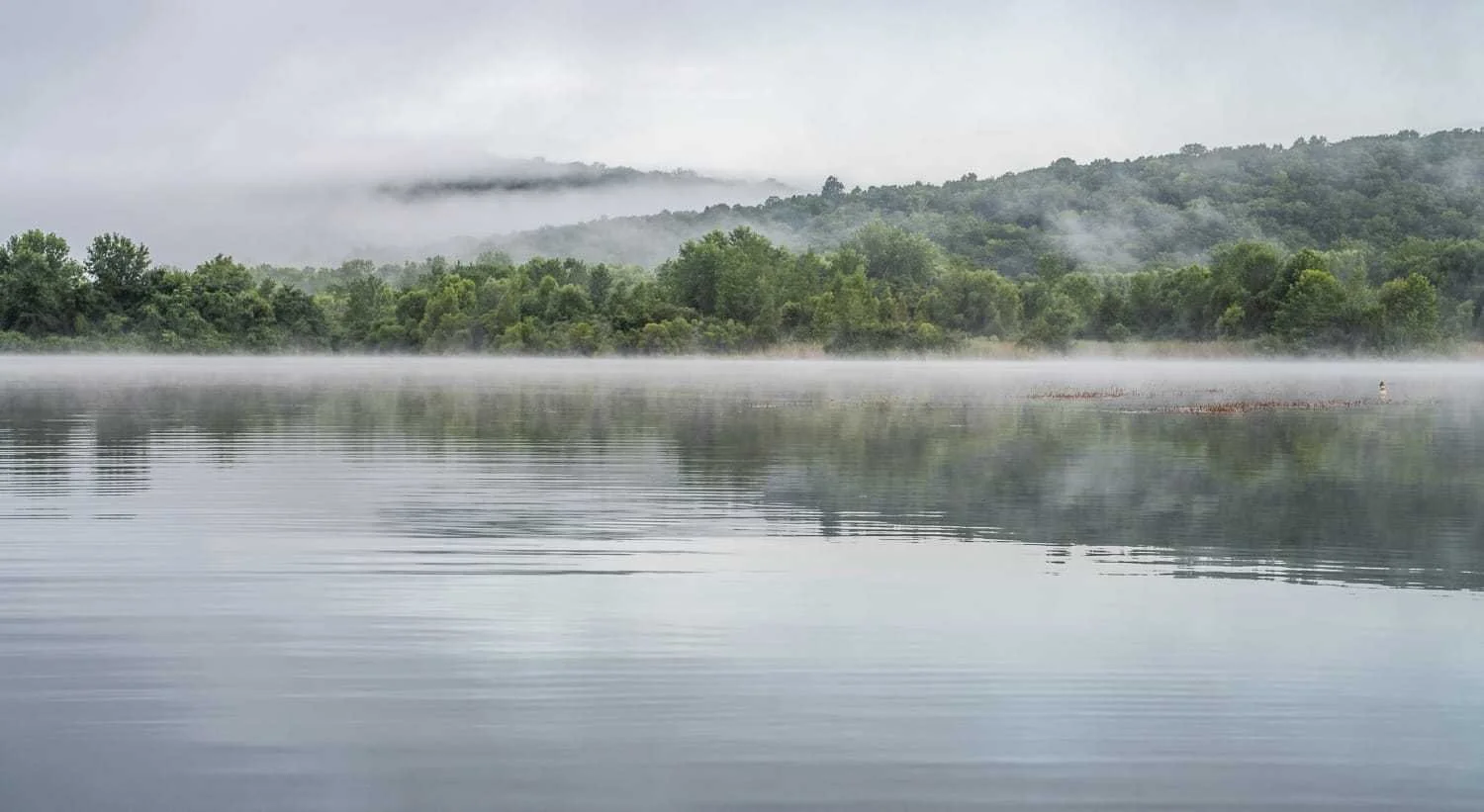 A fog.