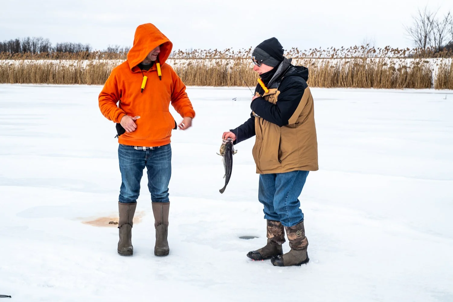 Conversation about the bass.