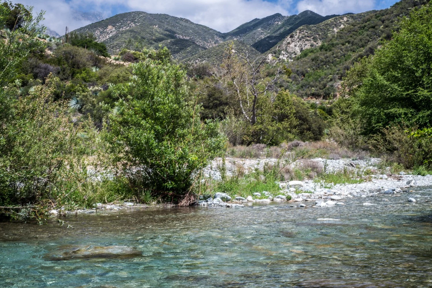 A river among mountains.