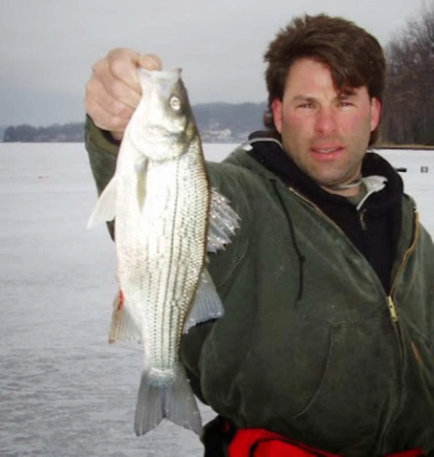 Hybrid striper, a denizen of deep drop offs.