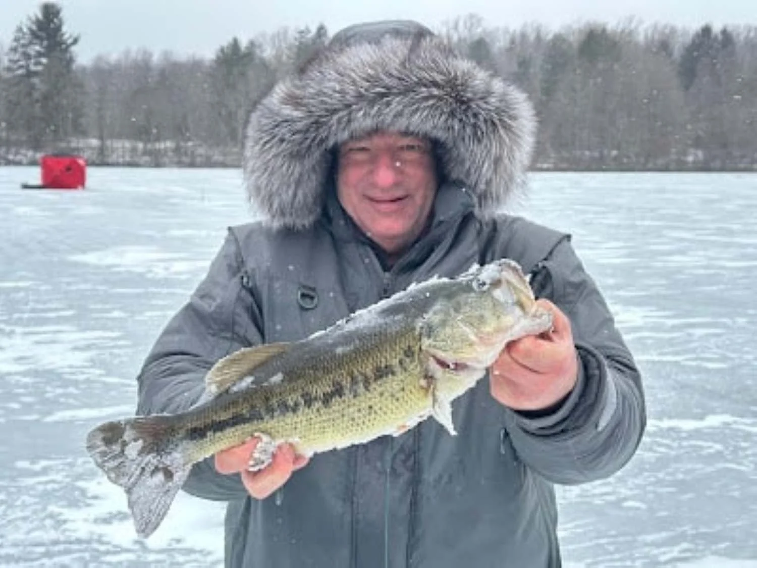 Ice  bass from public Aeroflex.