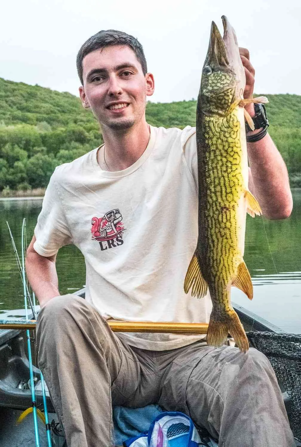 Twenty-six pickerel on Zara Spook.