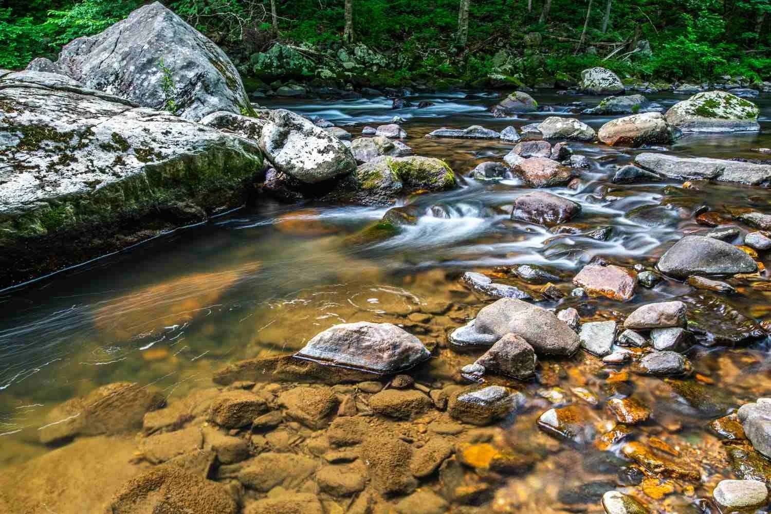South Branch Raritan River.