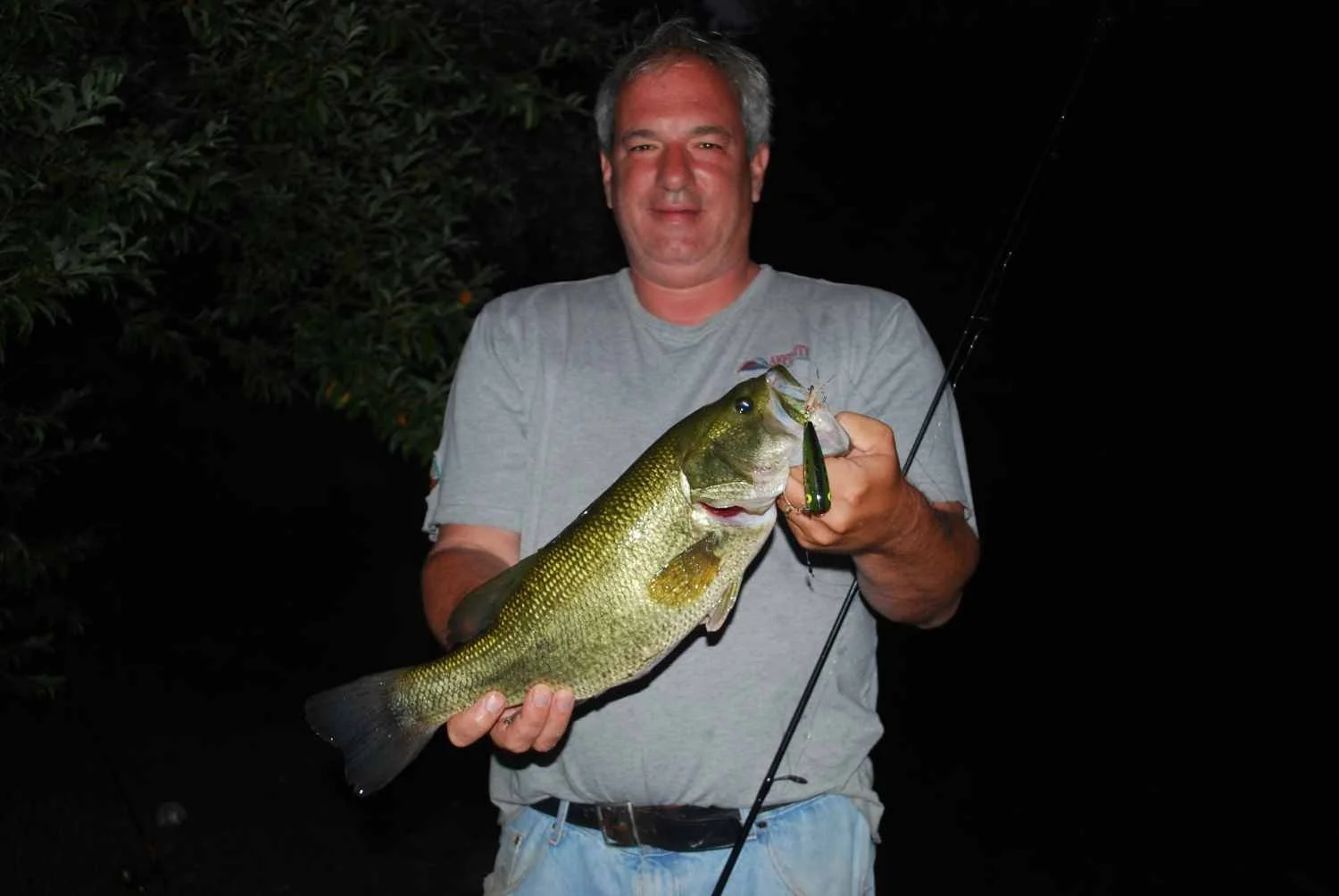 A pond bass on topwater.