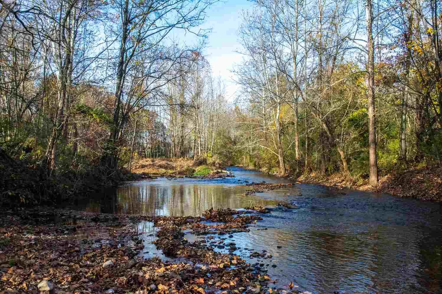 North Branch flowing low.