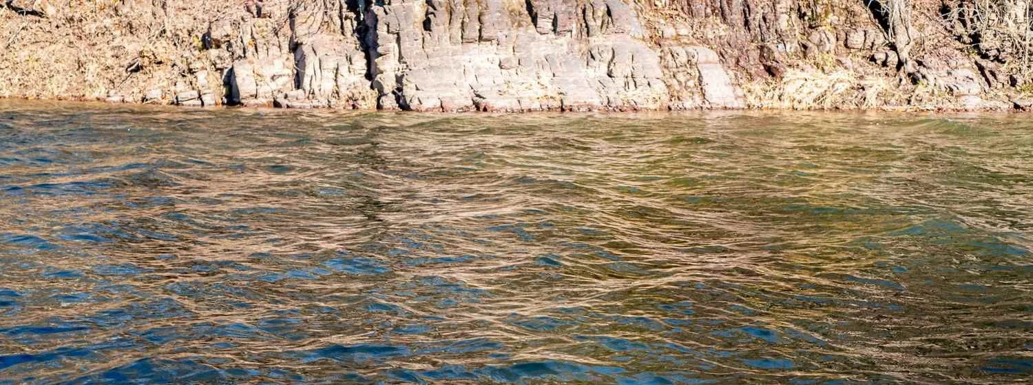 Wind and sunlight made the river surface blue, green, and gold.
