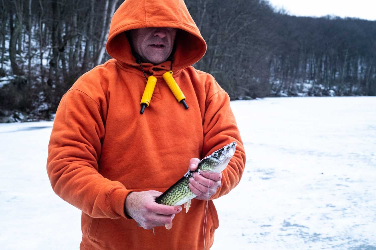 Small chain pickerel caught by Oliver Round.