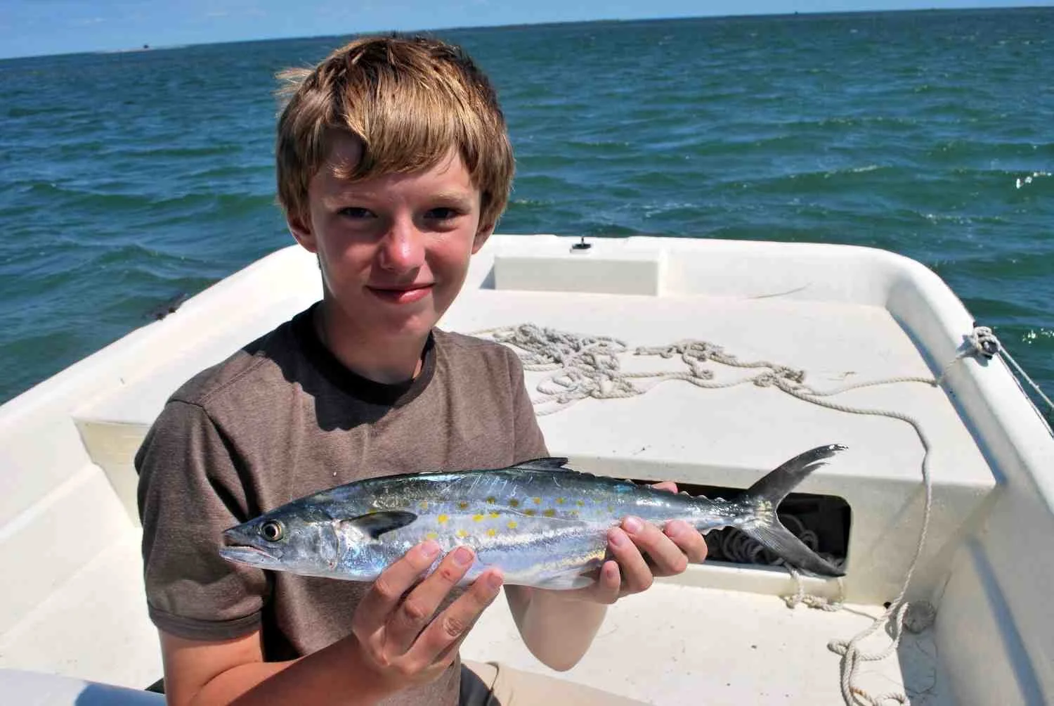 A Spanish mackerel.