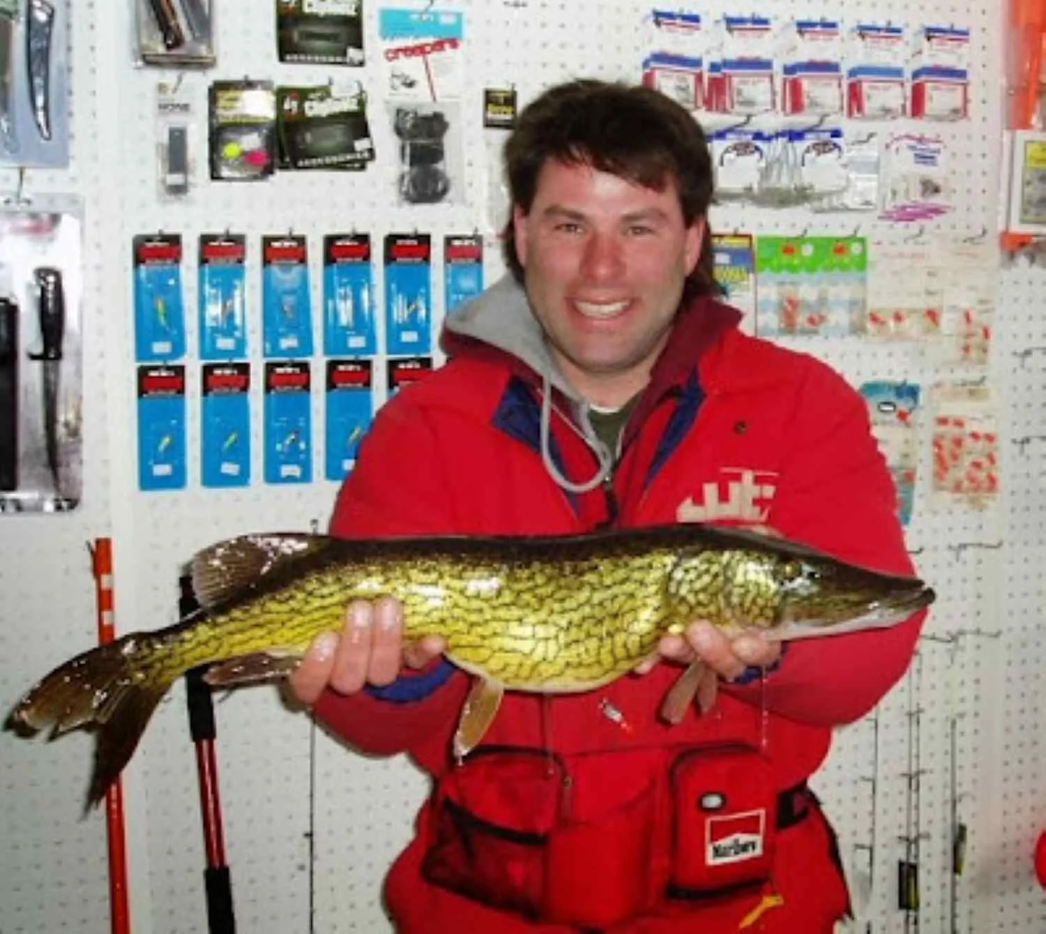 Pickerel notoriously devour shiners.