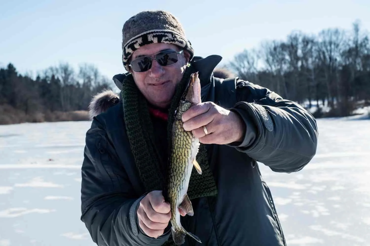 Eighteen inch pickerel.