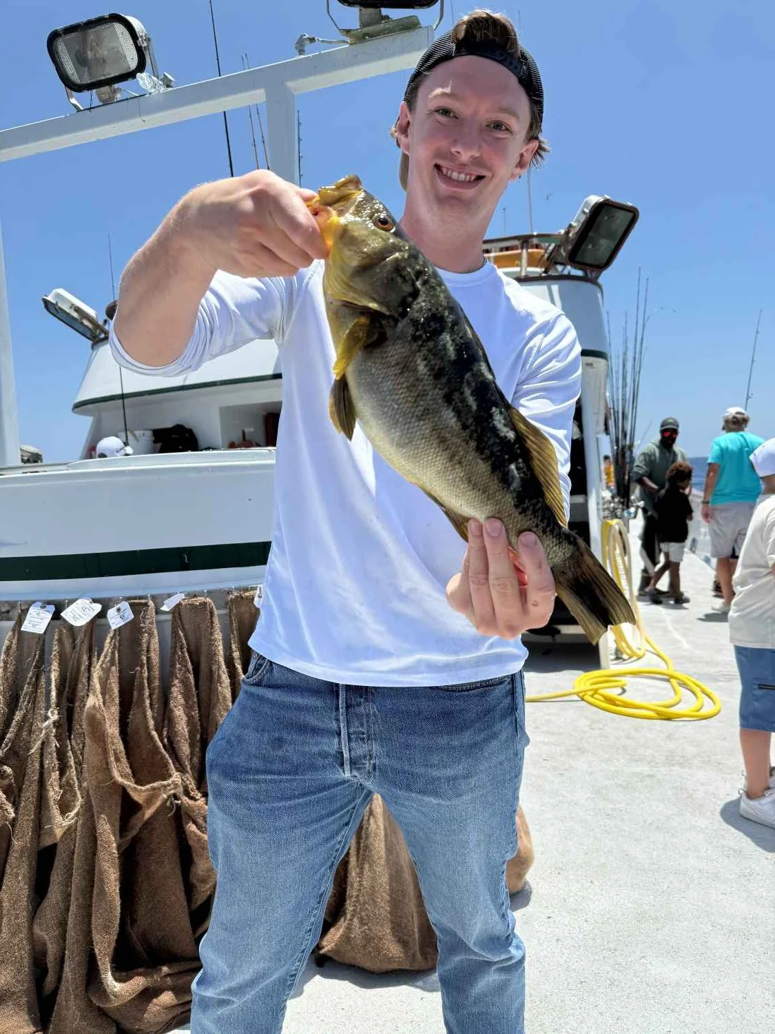 Calico bass.