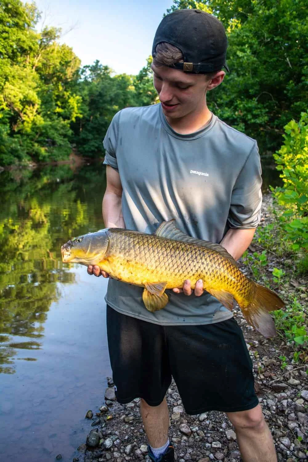 Carp from the North Branch.