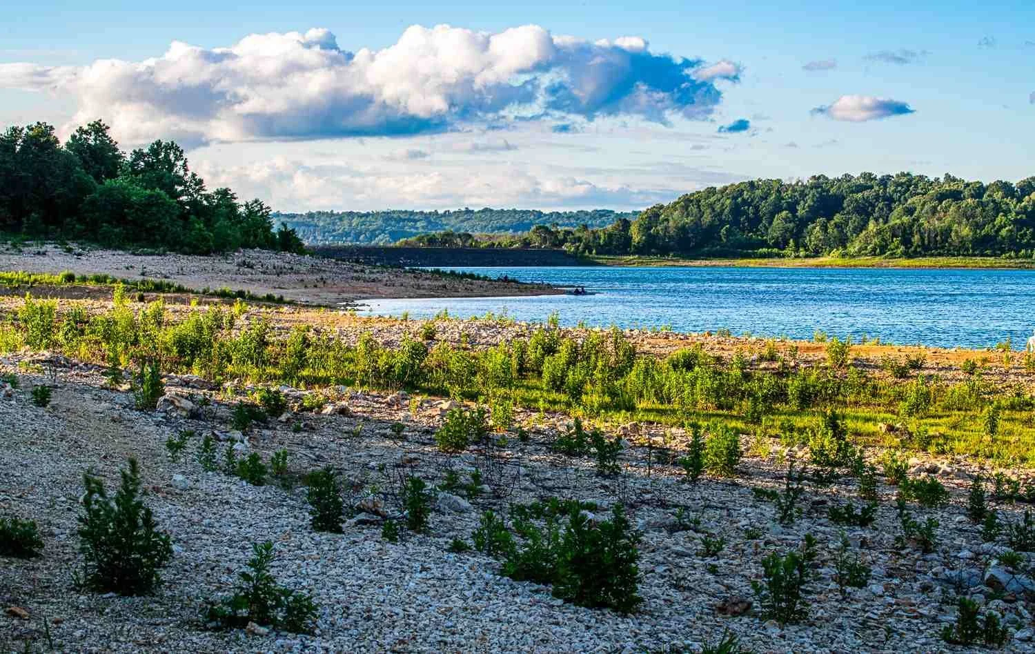 Creating contrast that worked for the image took some doing.