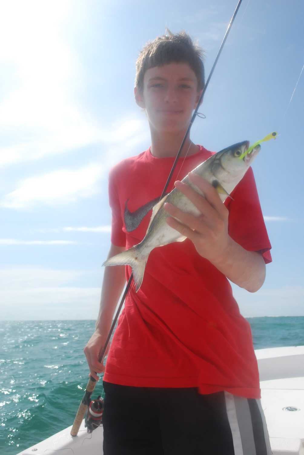 A small bluefish.
