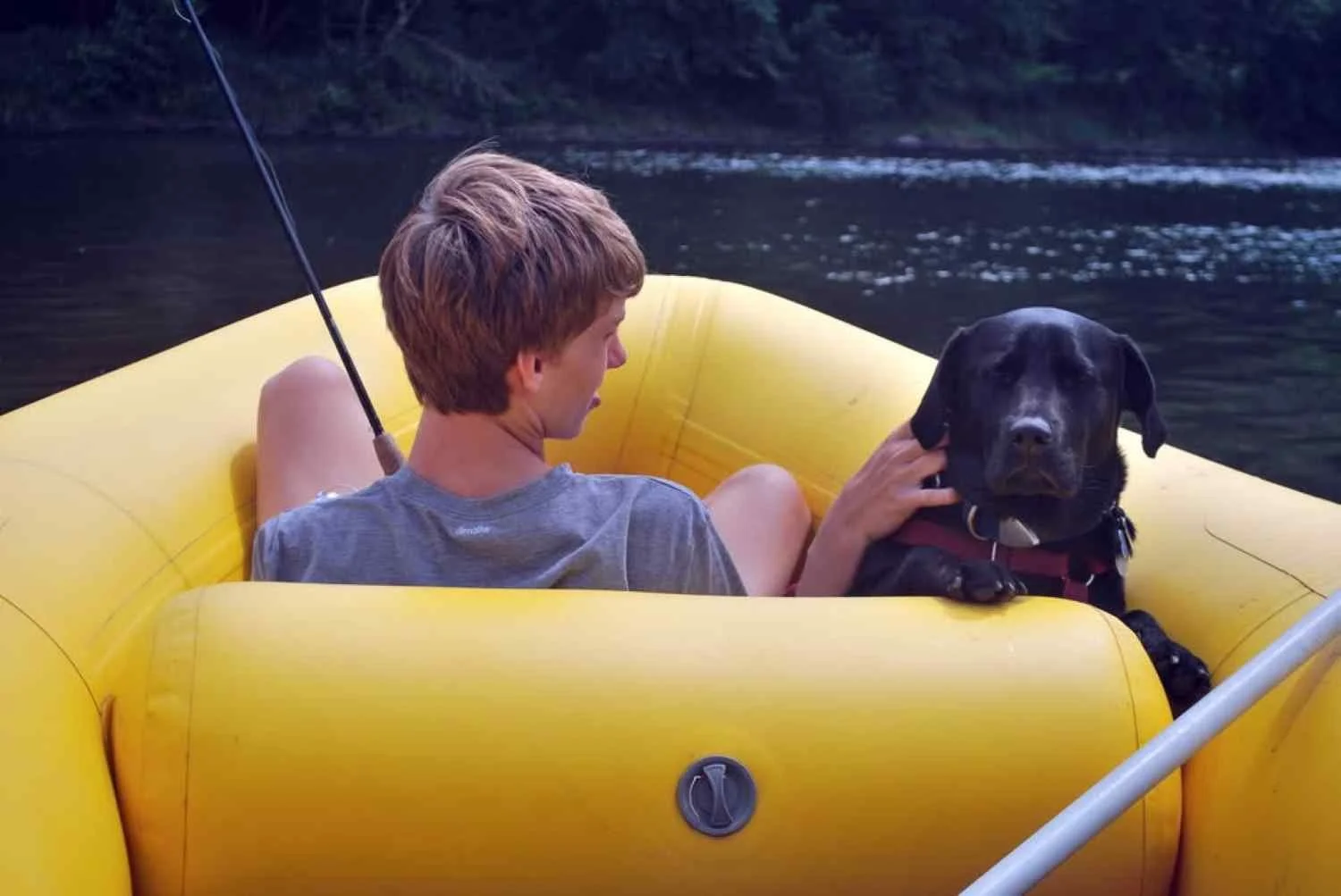 A river raft and pet Labrador.