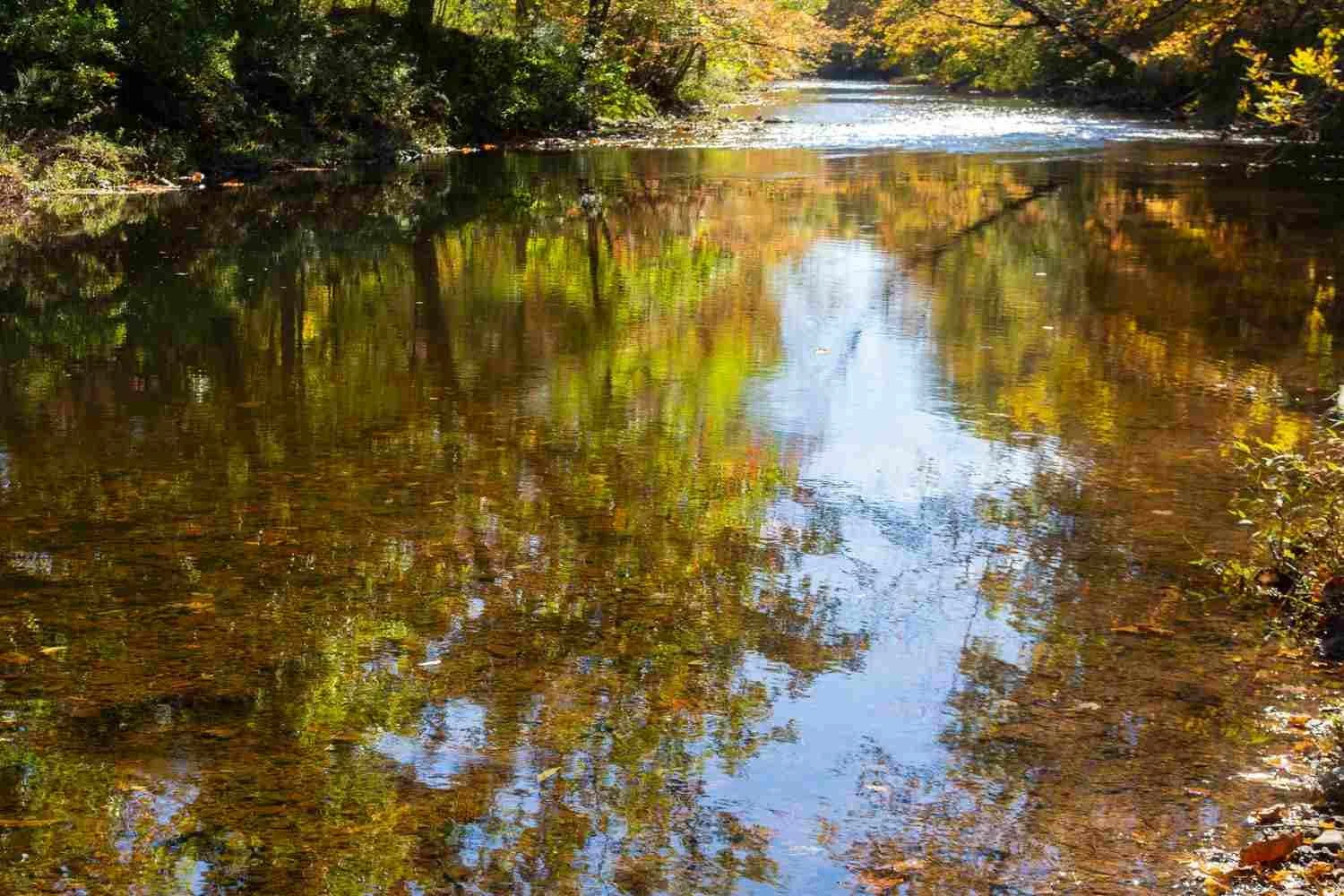 The water's not particularly low.