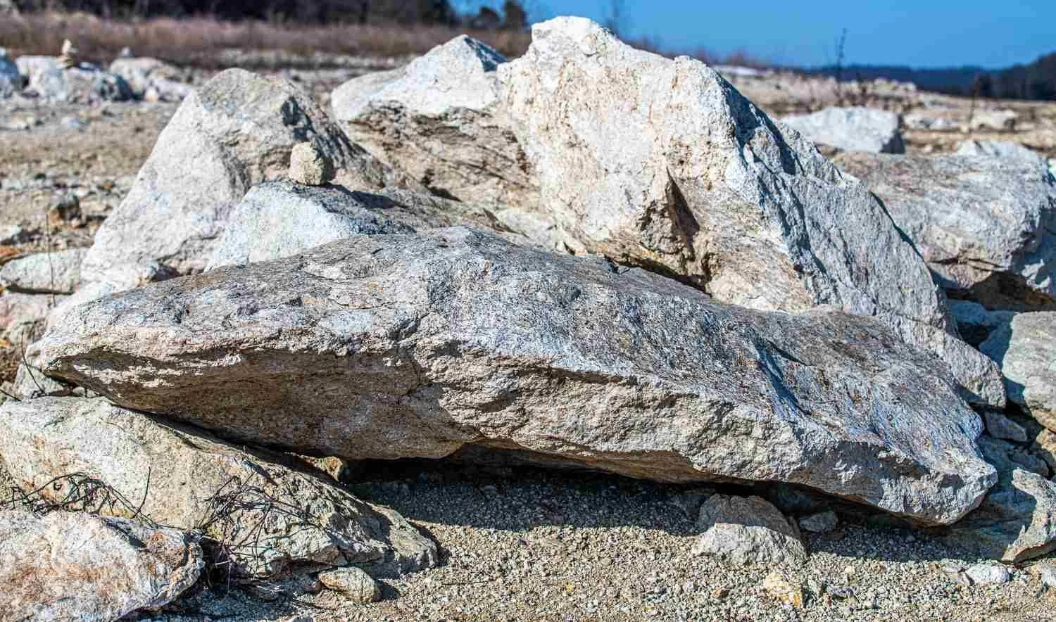 This rock presents nothing to move in the breeze.