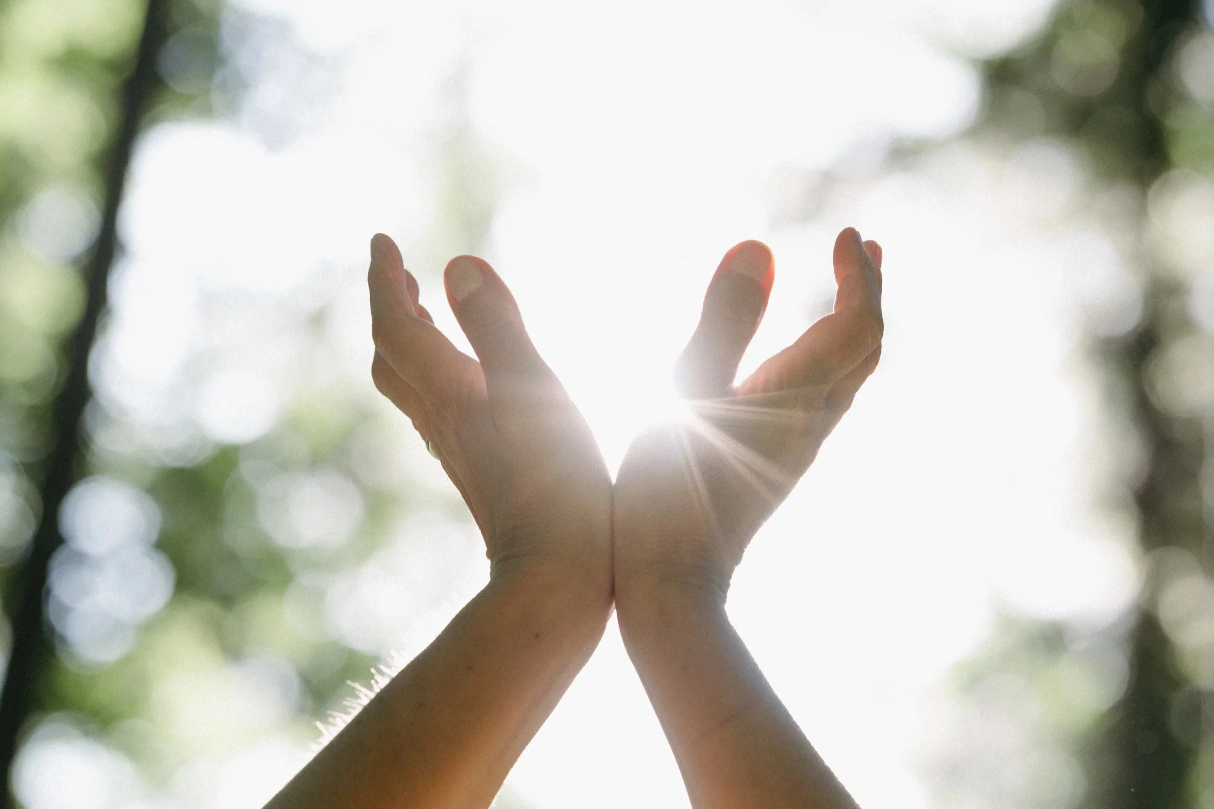 Virtual Hands of Light Workshop - May (Pacific Time)