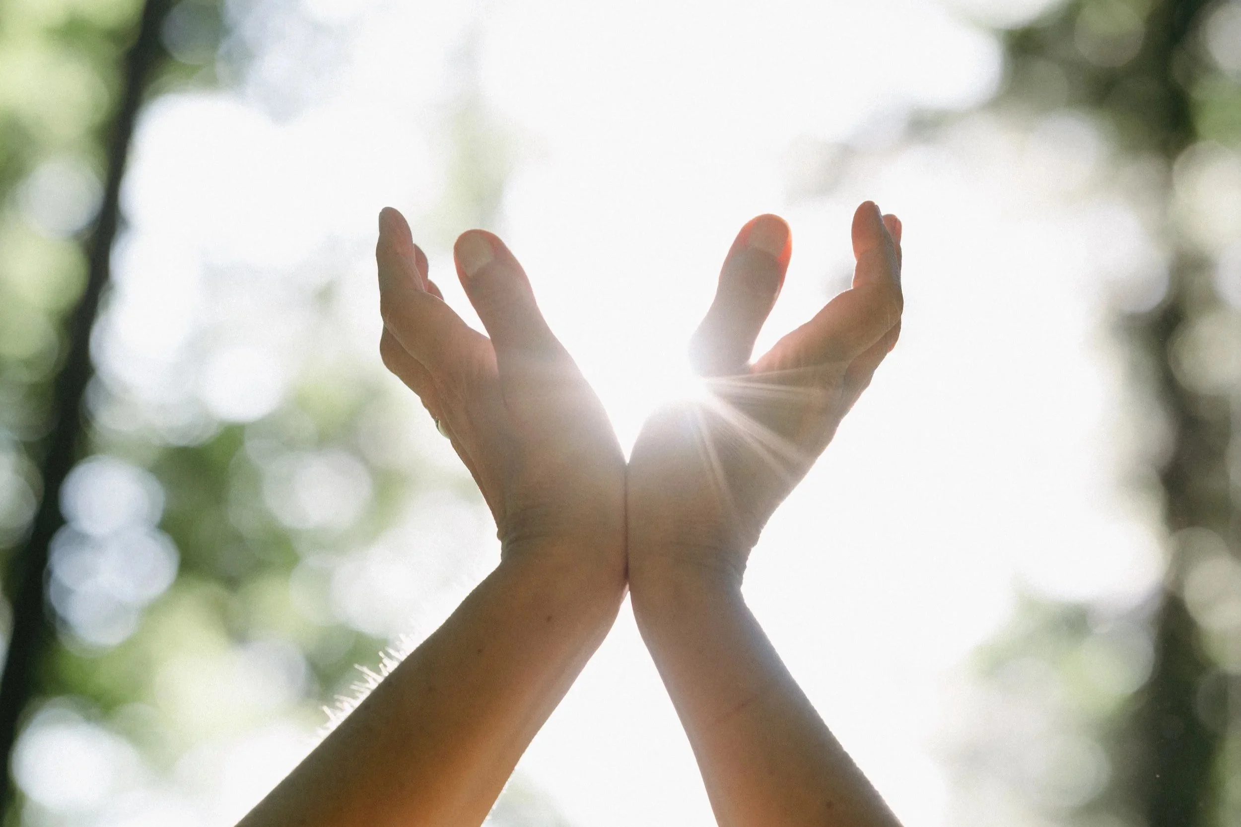 Virtual Hands of Light Workshop - June (Pacific Time)